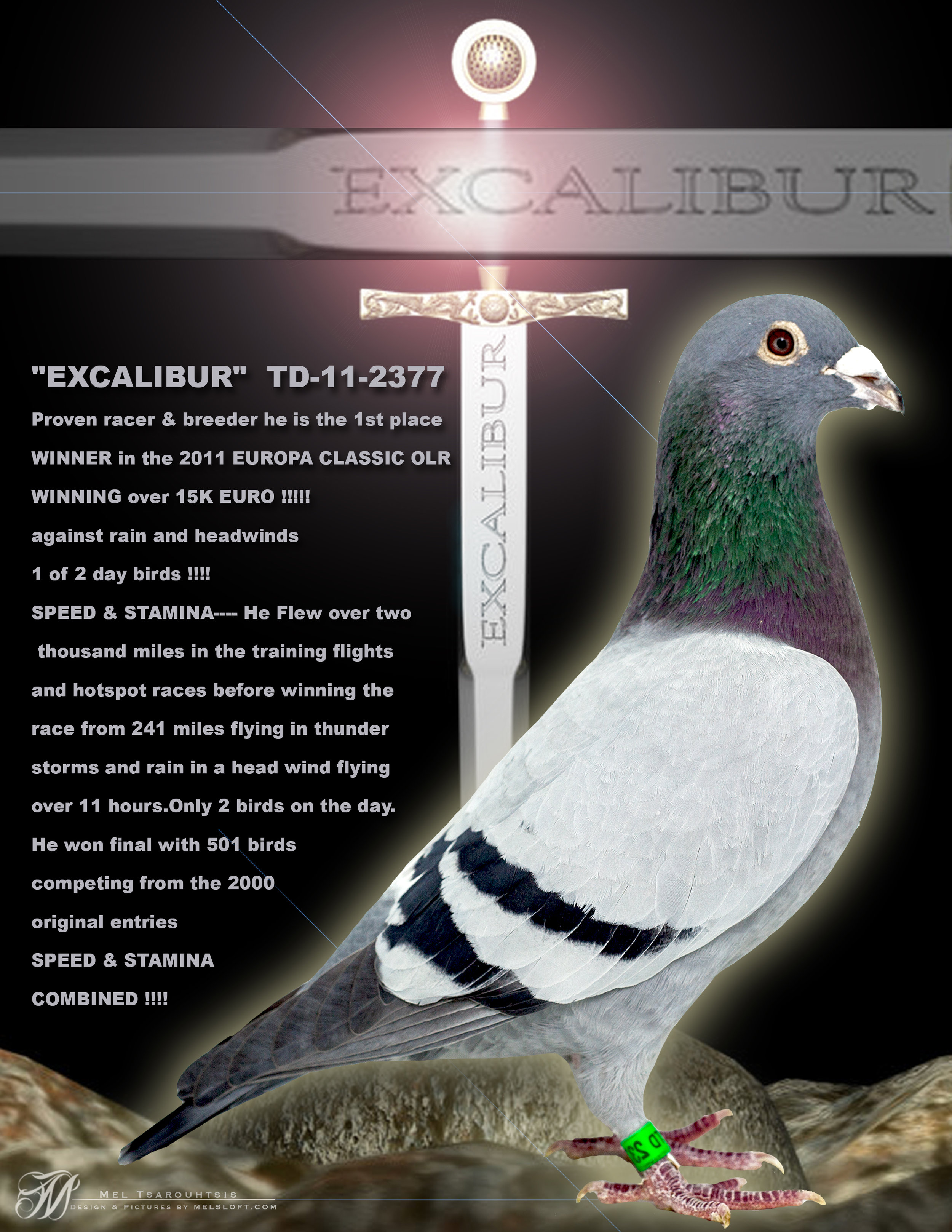 EXCALIBUR SIGNAGE.jpg