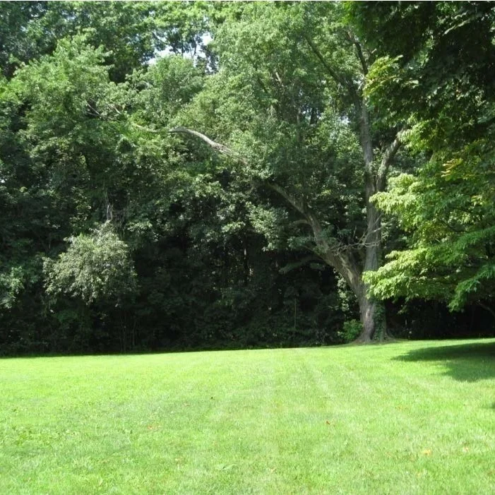 Glen Cove Feasibility.jpg