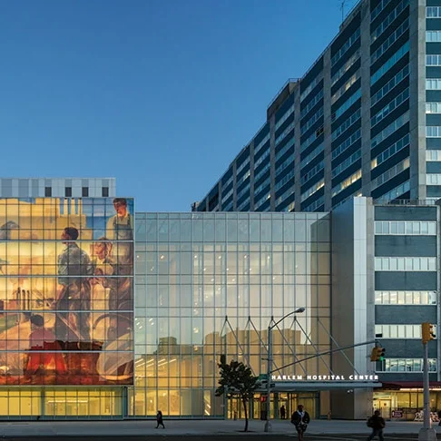 Harlem Hospital Windows.jpg