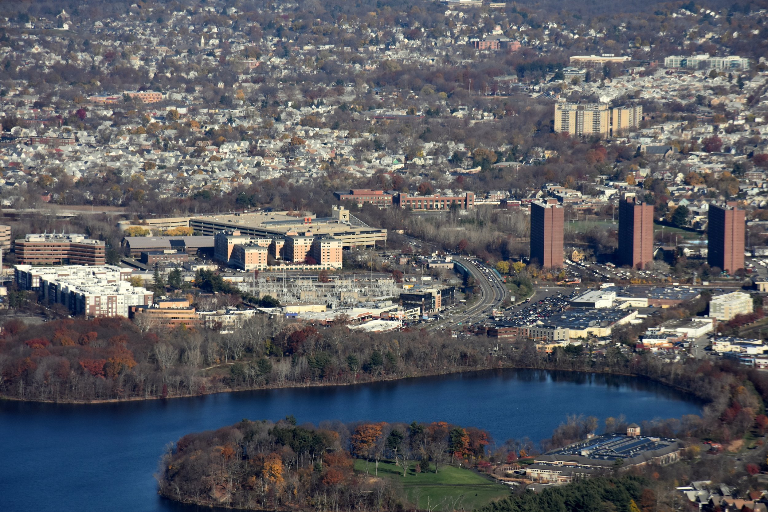 Cambridge Urban Forest Master Plan