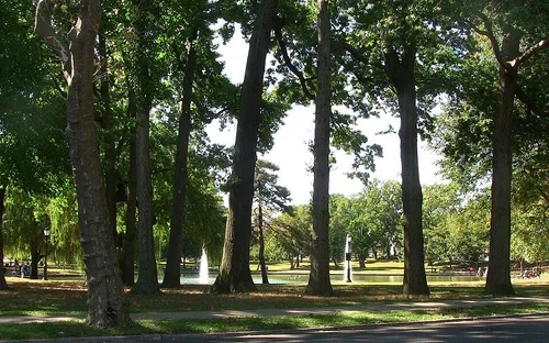 Queens Historical Society Renovation