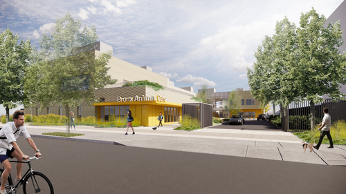 NYC DDC Bronx Animal Care Center &amp; Veterinary Clinic