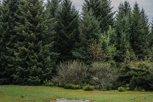 Blue Mountain Sportsman Center