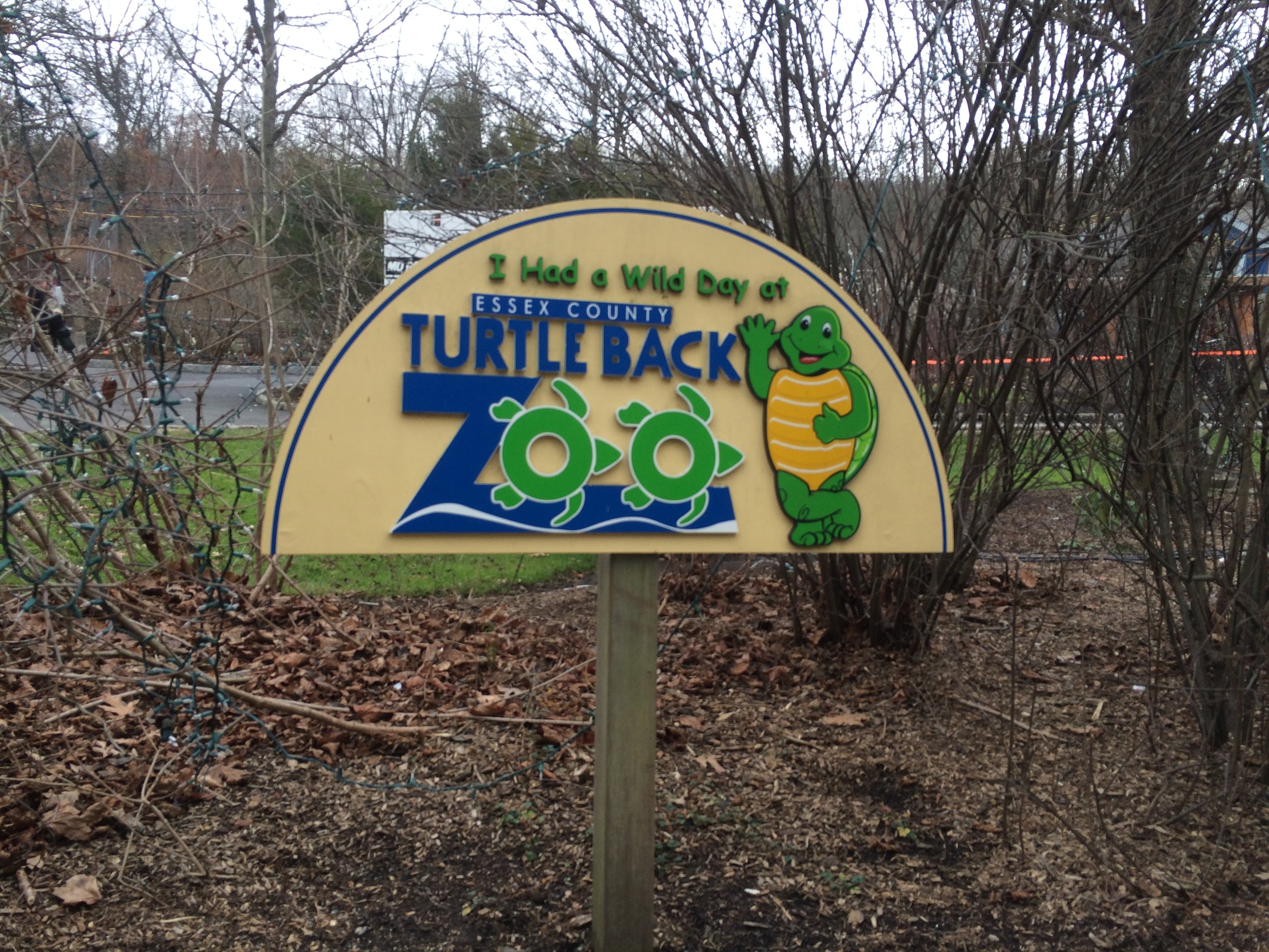 Turtle Back Zoo Alligator and Komodo Dragon Exhibit — ELLANA, Inc.