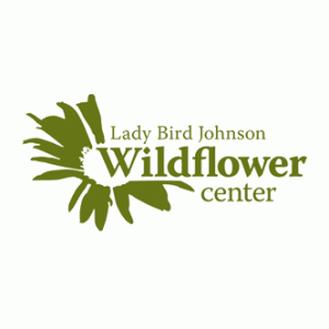 lbj wildflower.png