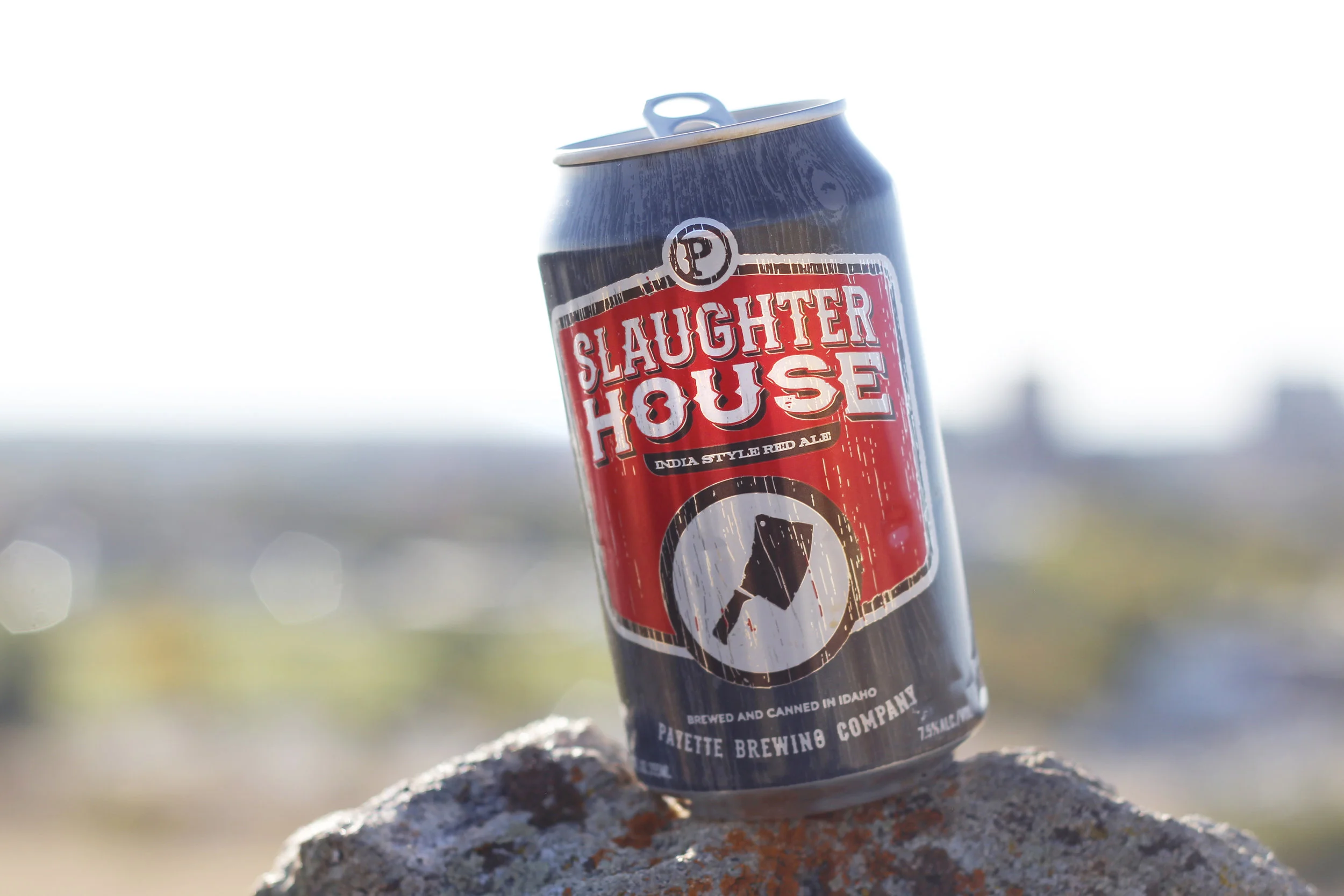 Slaughterhouse_10.jpg