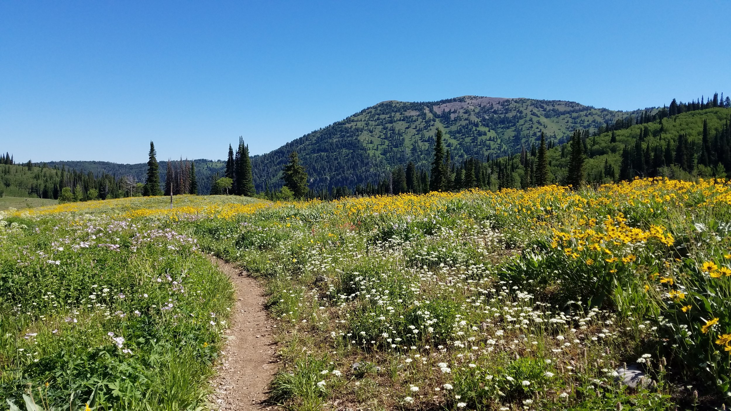 20180713_101736.jpg