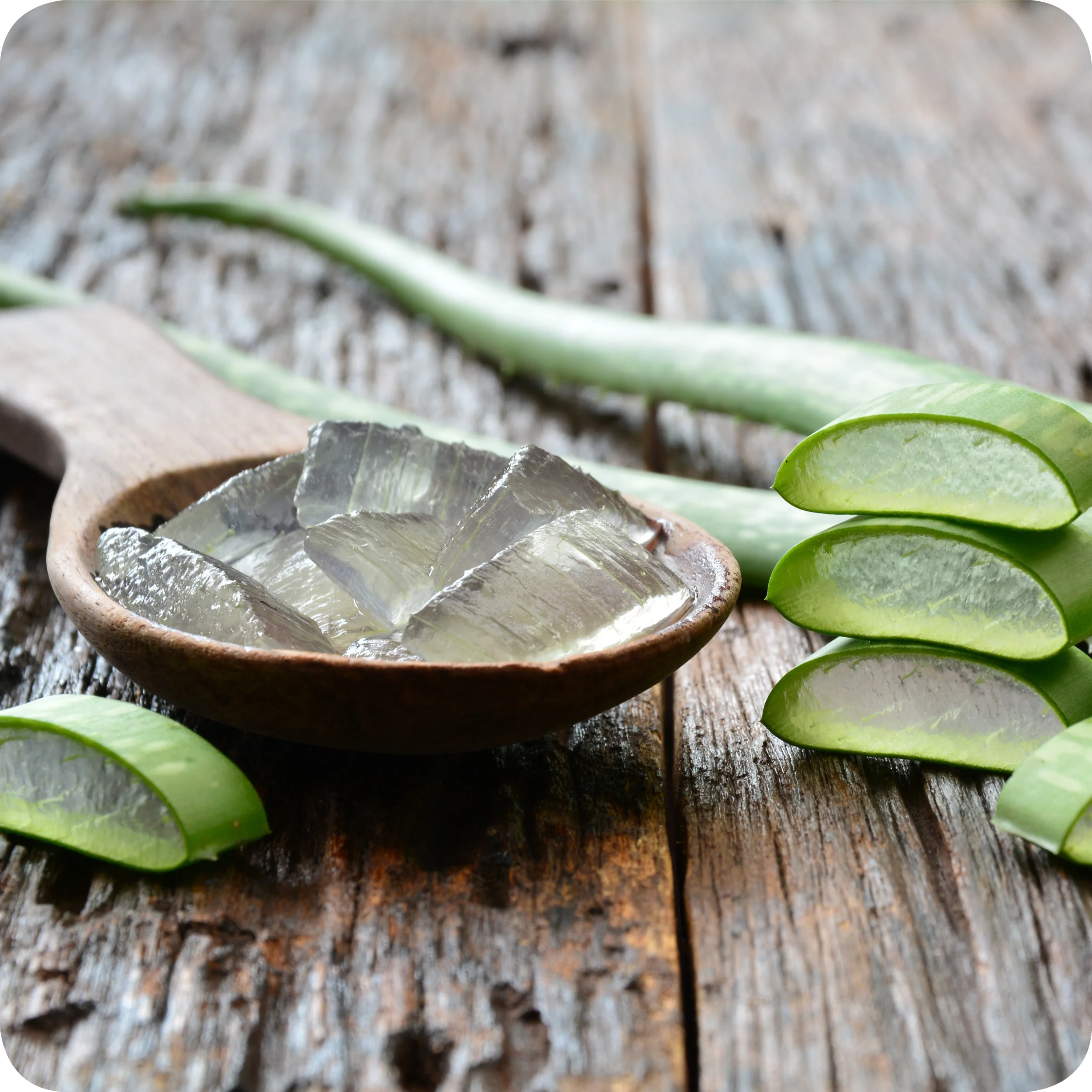 Sliced aloe vera, and aloe vera gel.