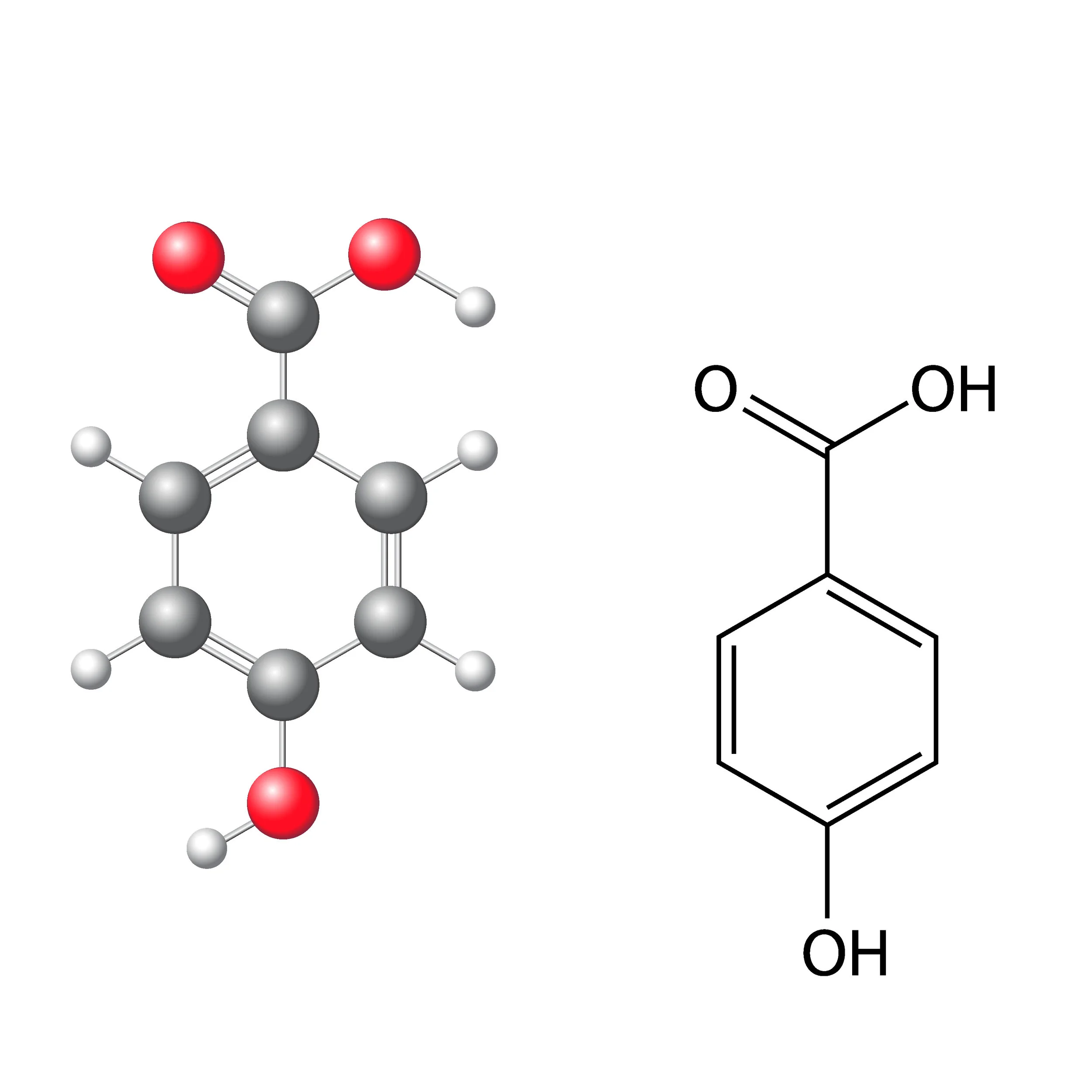 Chemical structure of a paraben (4-hydroxybenzoic acid).