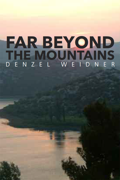 Screen Shot 2017-06-04 at 12.14.15 PM.png