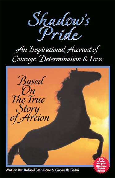 Screen Shot 2017-06-04 at 12.14.45 PM.png