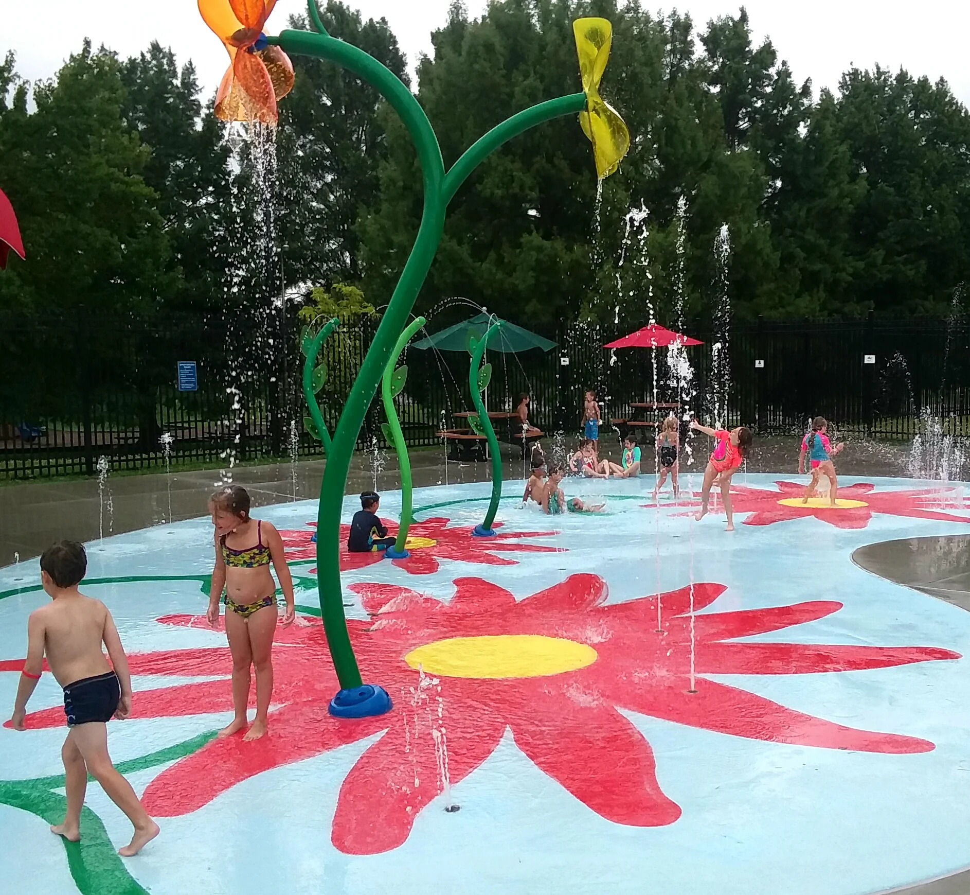 20190717_202635.jpg