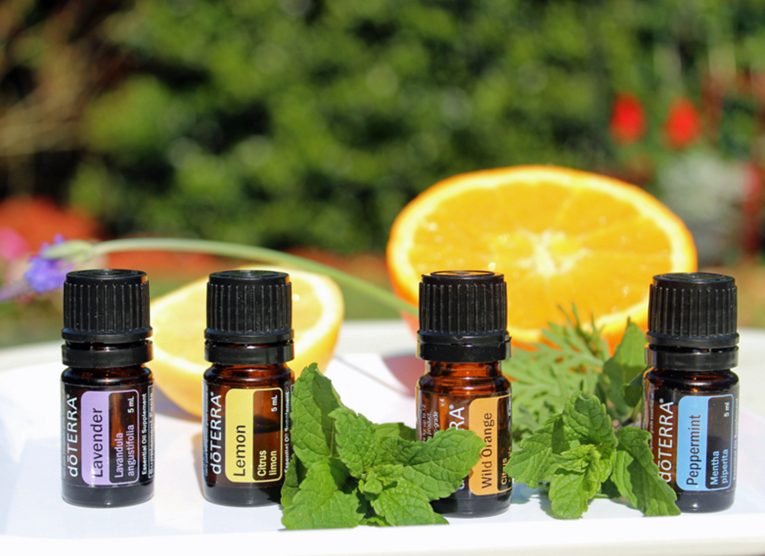 Где Купить Масла Doterra