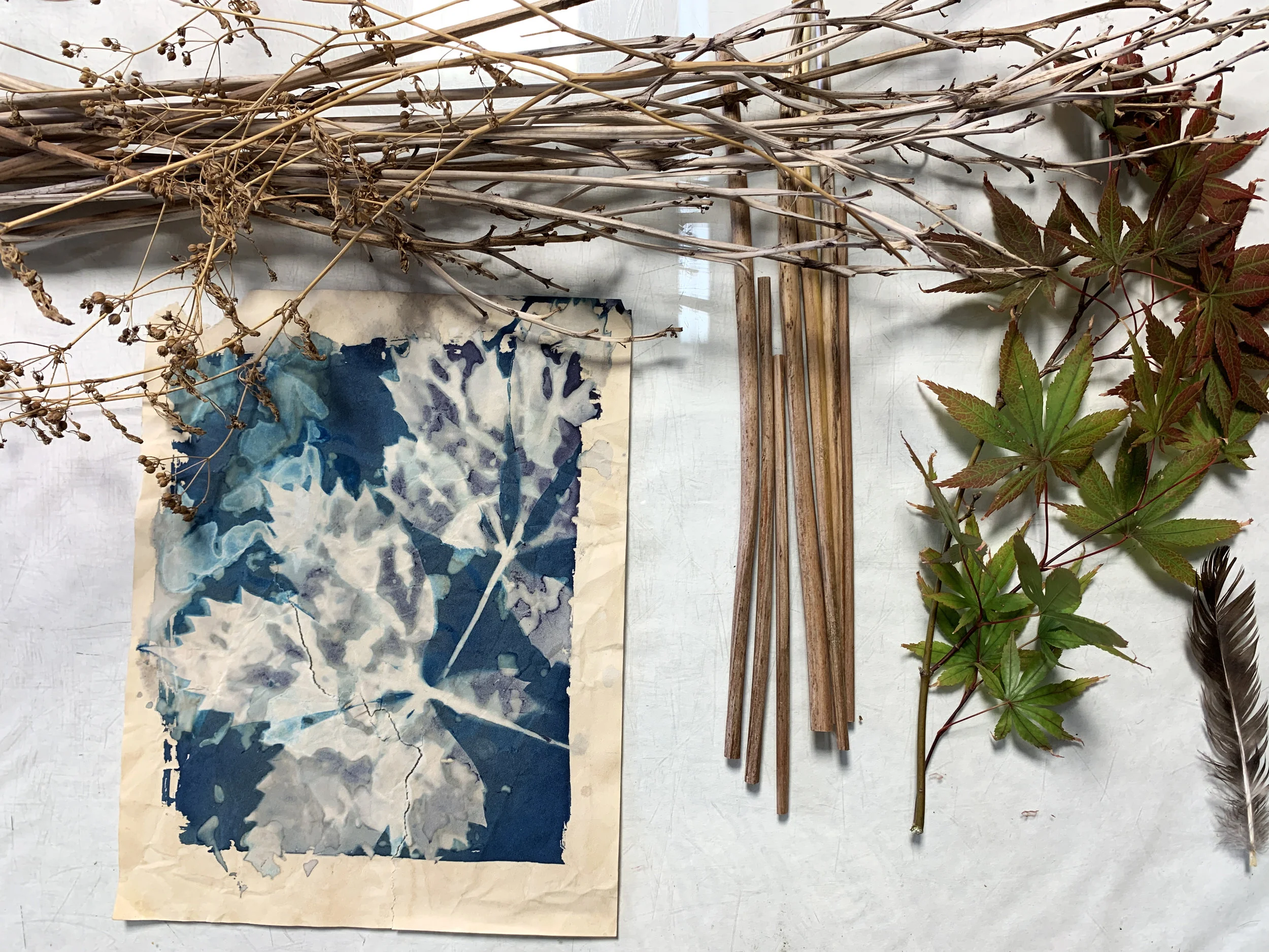 Cyanotype and Eco-Print Workshop with AIR Carol Webster