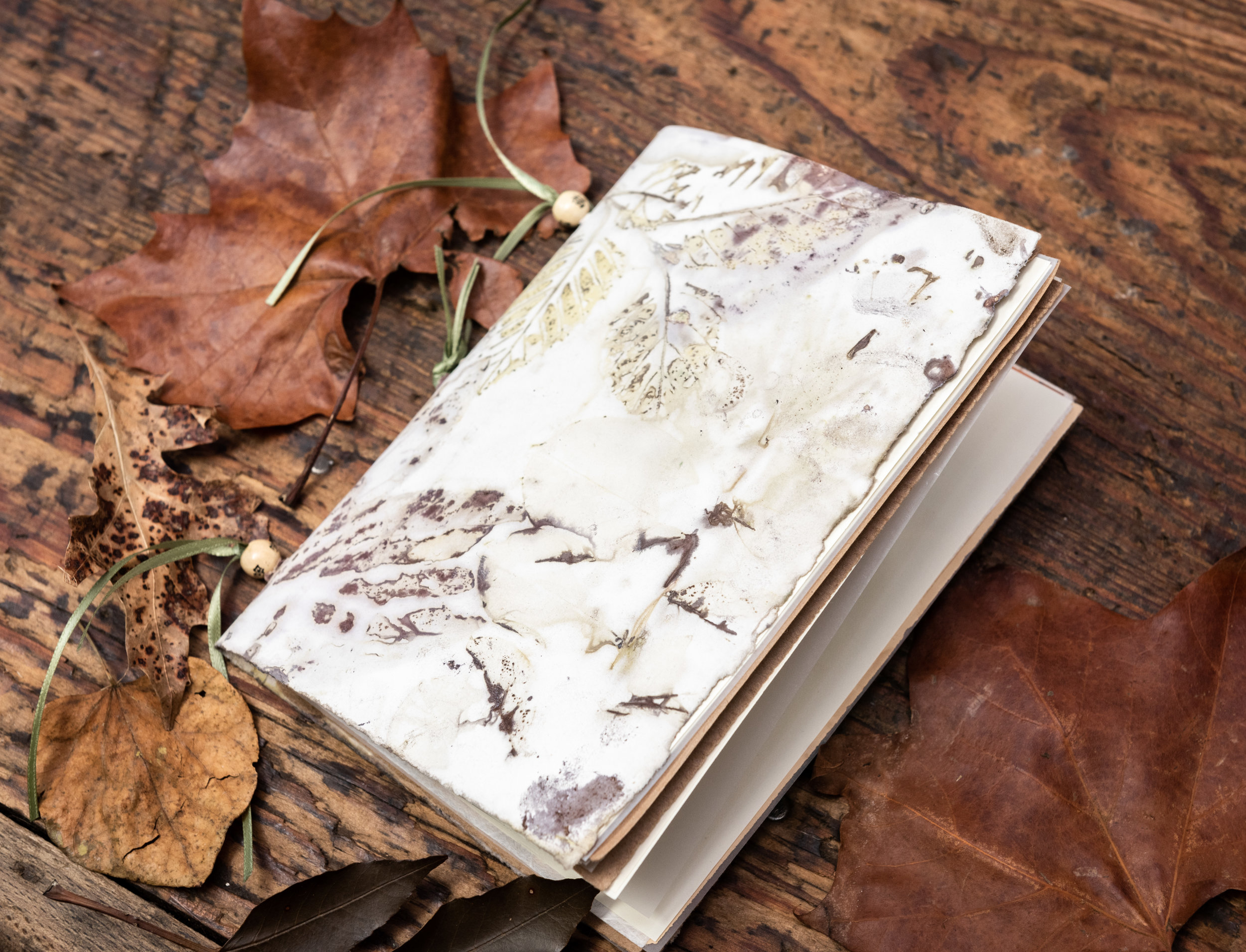 Advanced Eco-Print Workshop with AIR Carol Webster