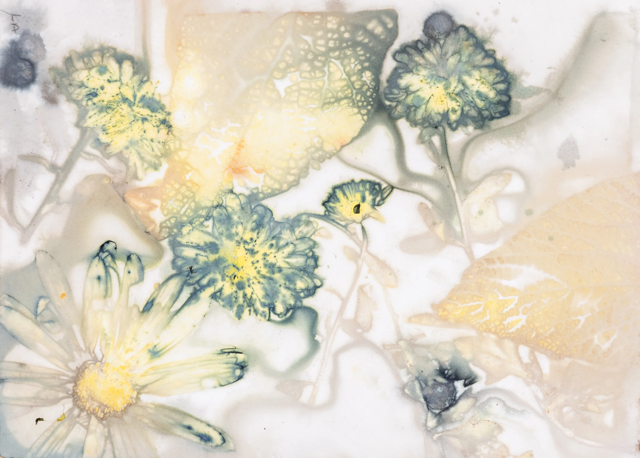 SOLD OUT! Cyanotype and Eco-Print Workshop with AIR Carol Webster