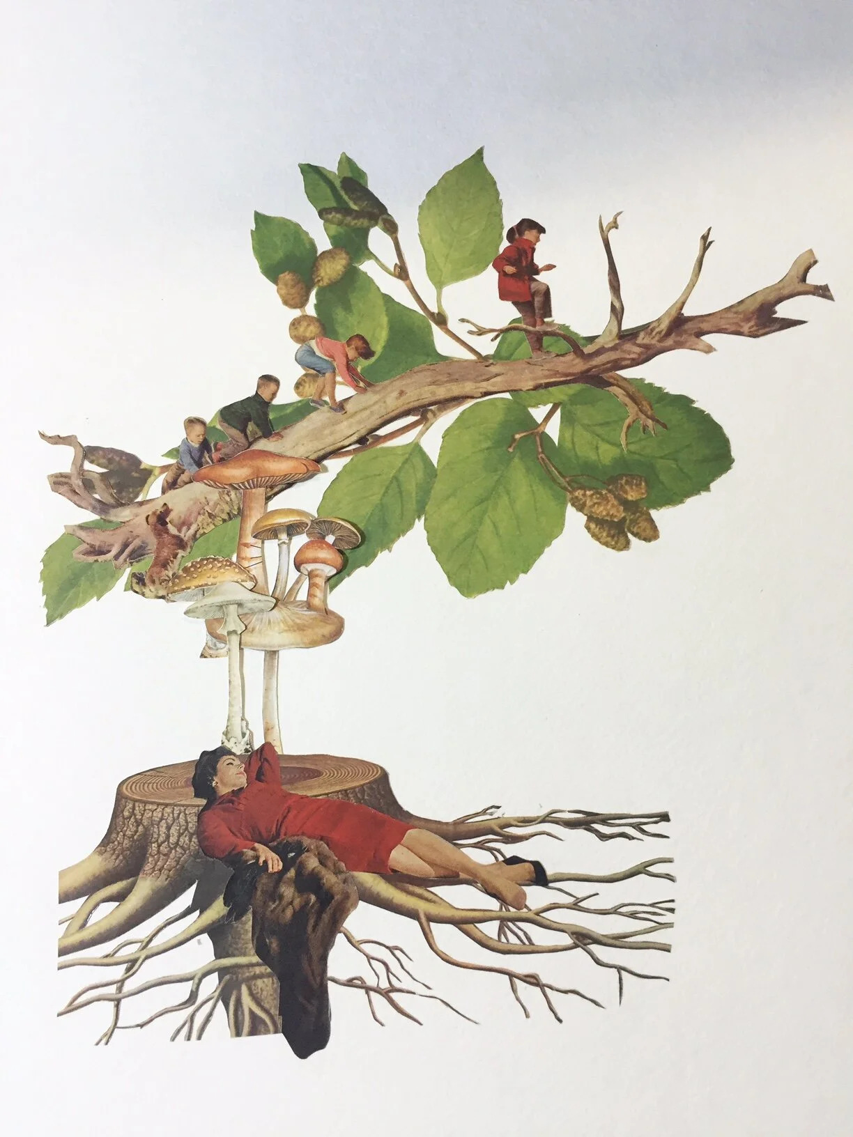 "A HIDING PLACE:" A COLLABORATIVE EXHIBITION by Jane Vincent Taylor