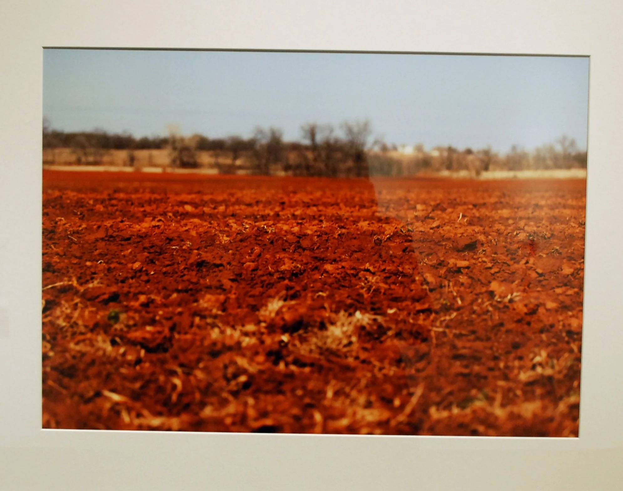 "Art 365" Exhibition by BRYAN COOK, CATHLEEN FAUBERT, EYAKEM GULILAT, ALEXANDRA KNOX &amp; ROMY OWENS