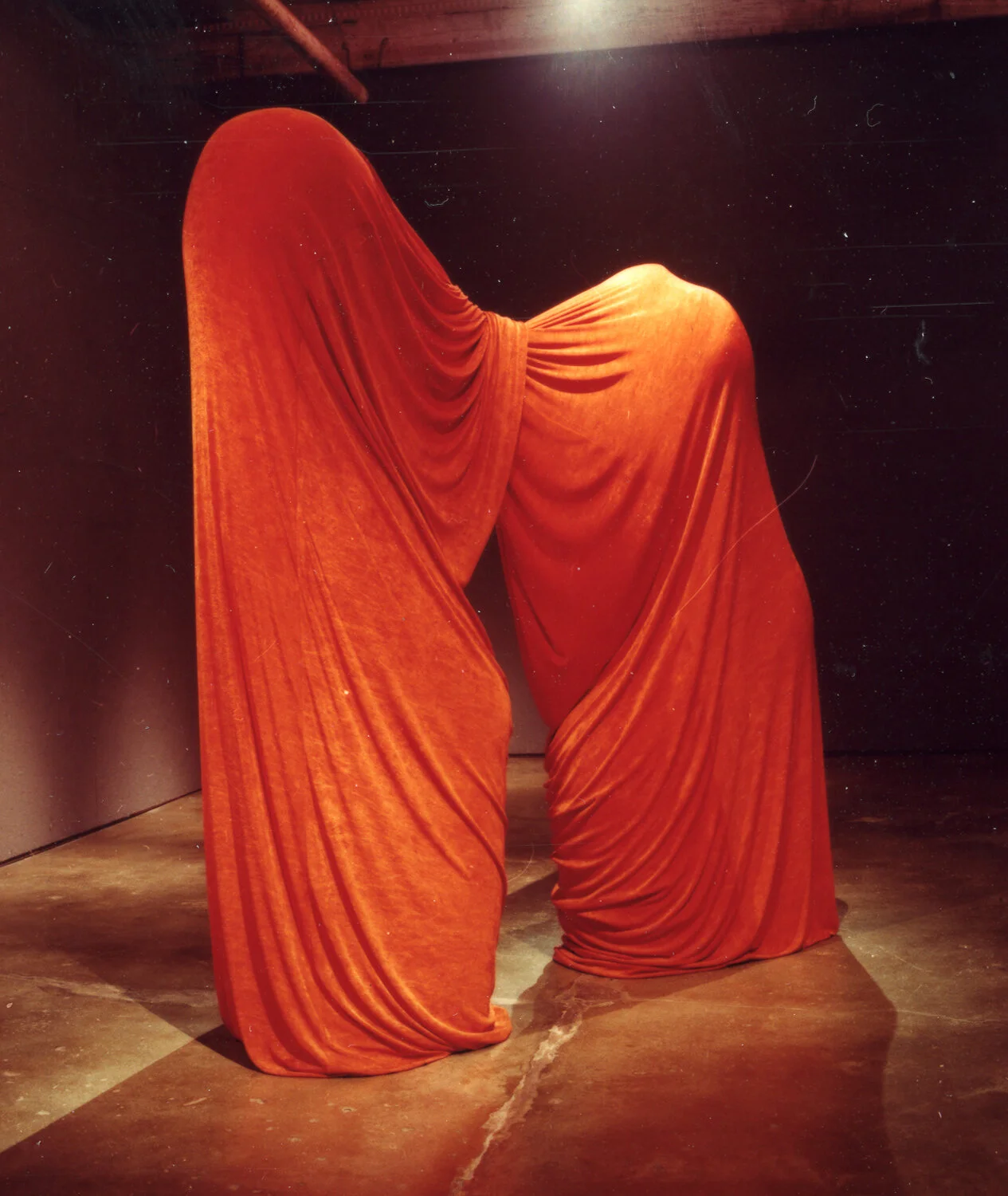 "ECHOES" Exhibition by Frances Bagley  accompanied by Cameron Schopp's "NEW WORK" 