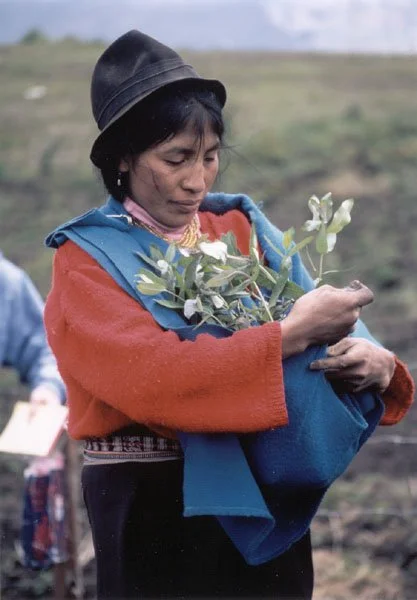 [03] EcuadorWoman.jpg