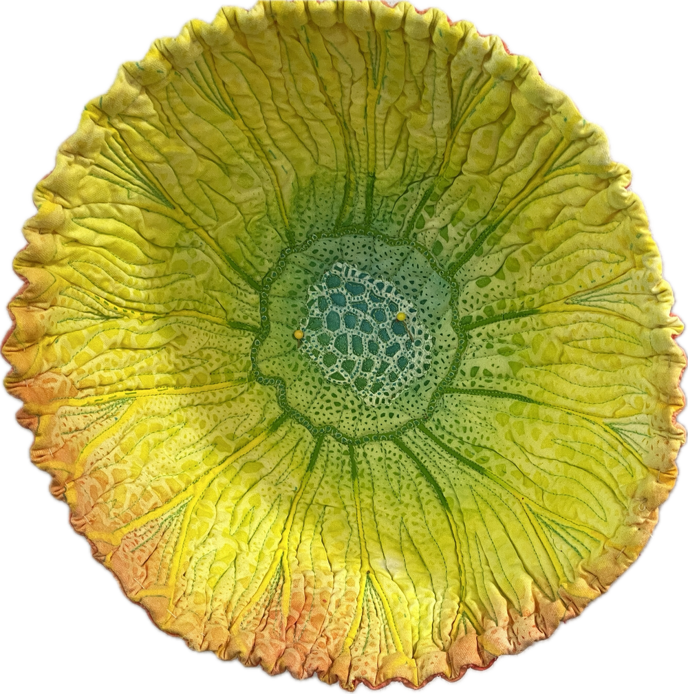 Betty Busby 3D Fiber Workshop