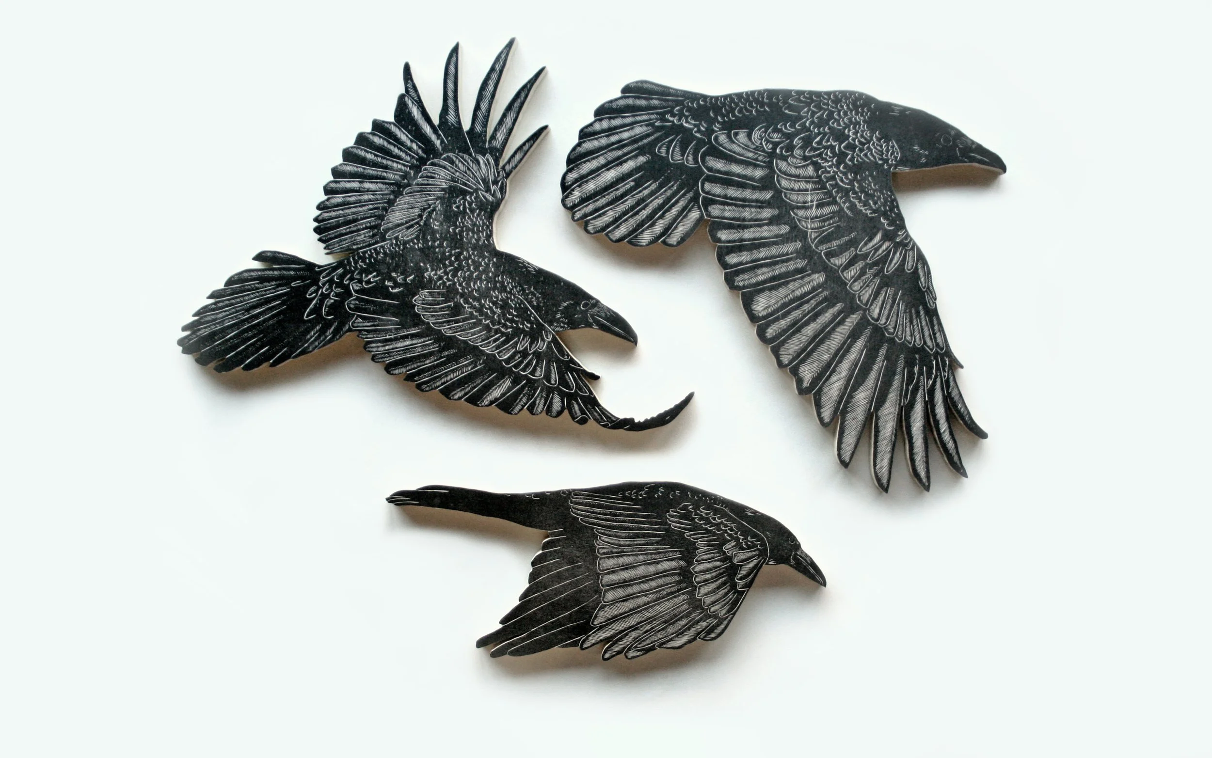 Crows