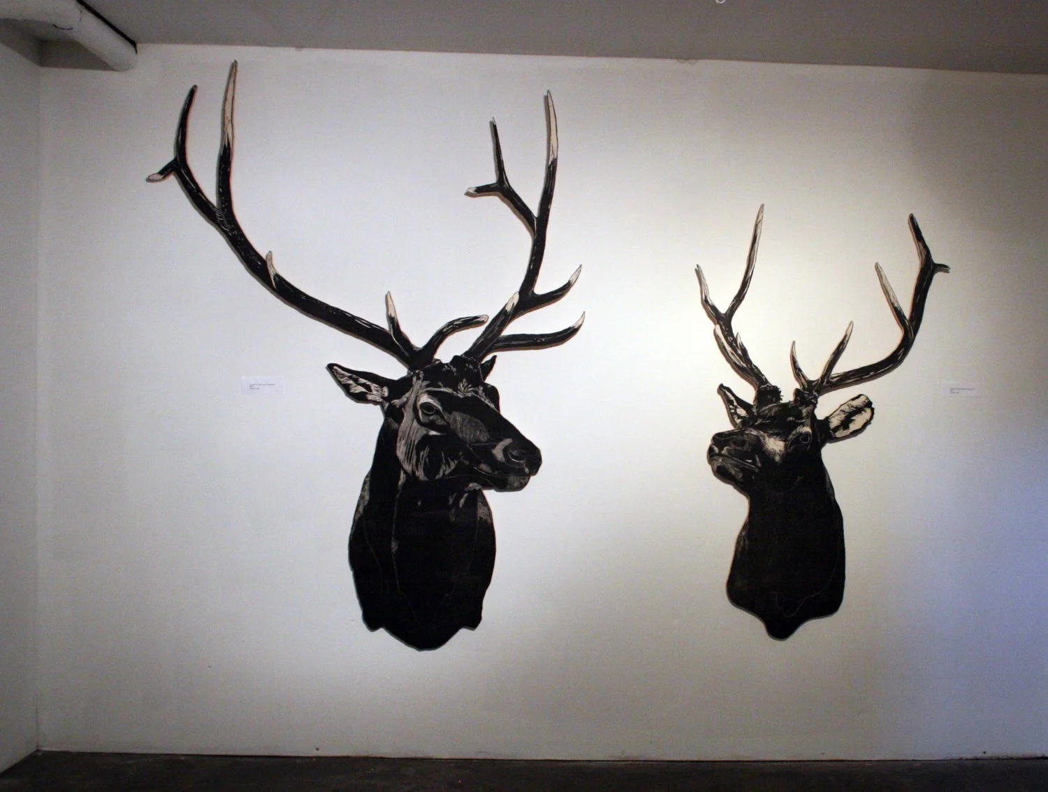 Mike's Elk Heads