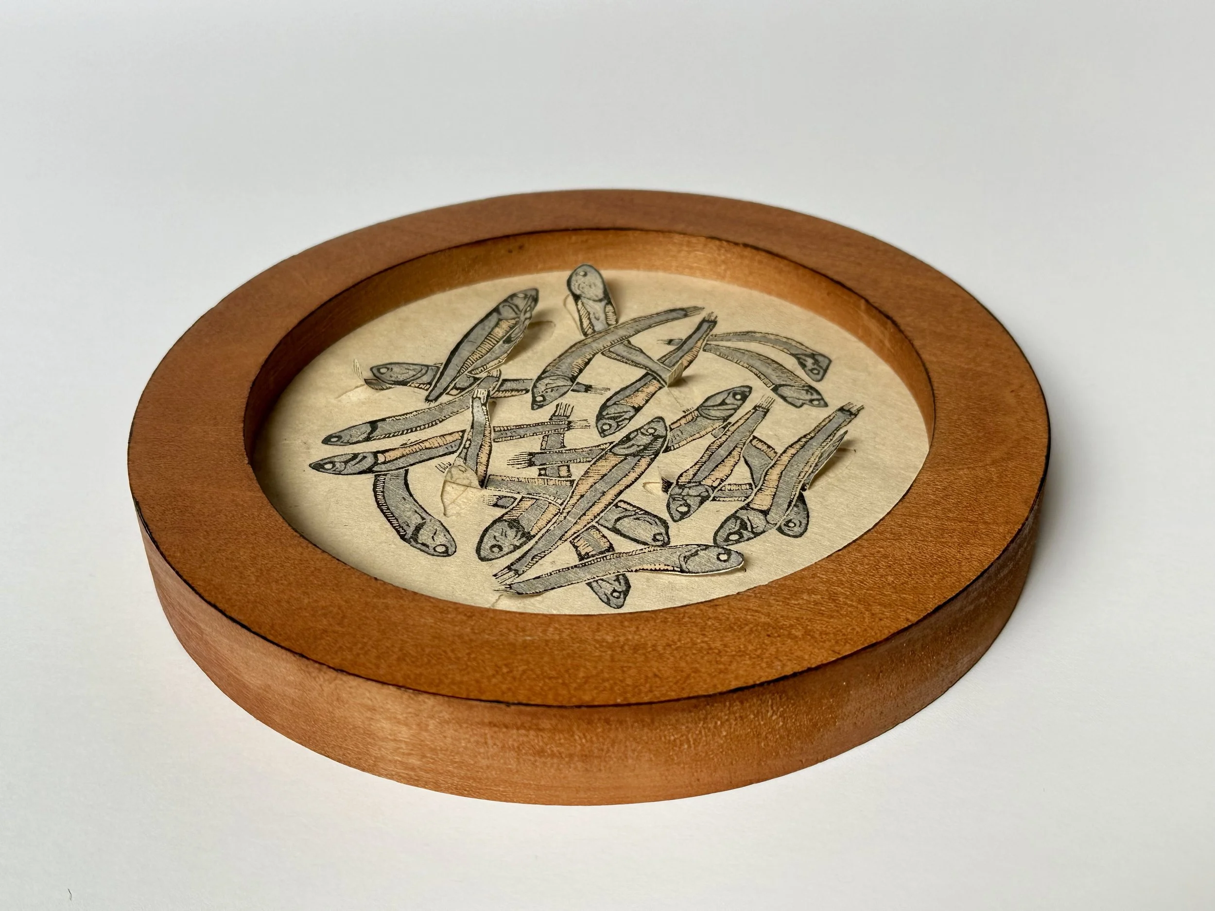 Tray of Dry Anchovies on dó paper