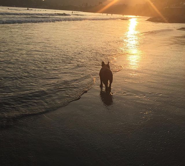 Sunset stroll. #casaquixotezihua#bestbeaches