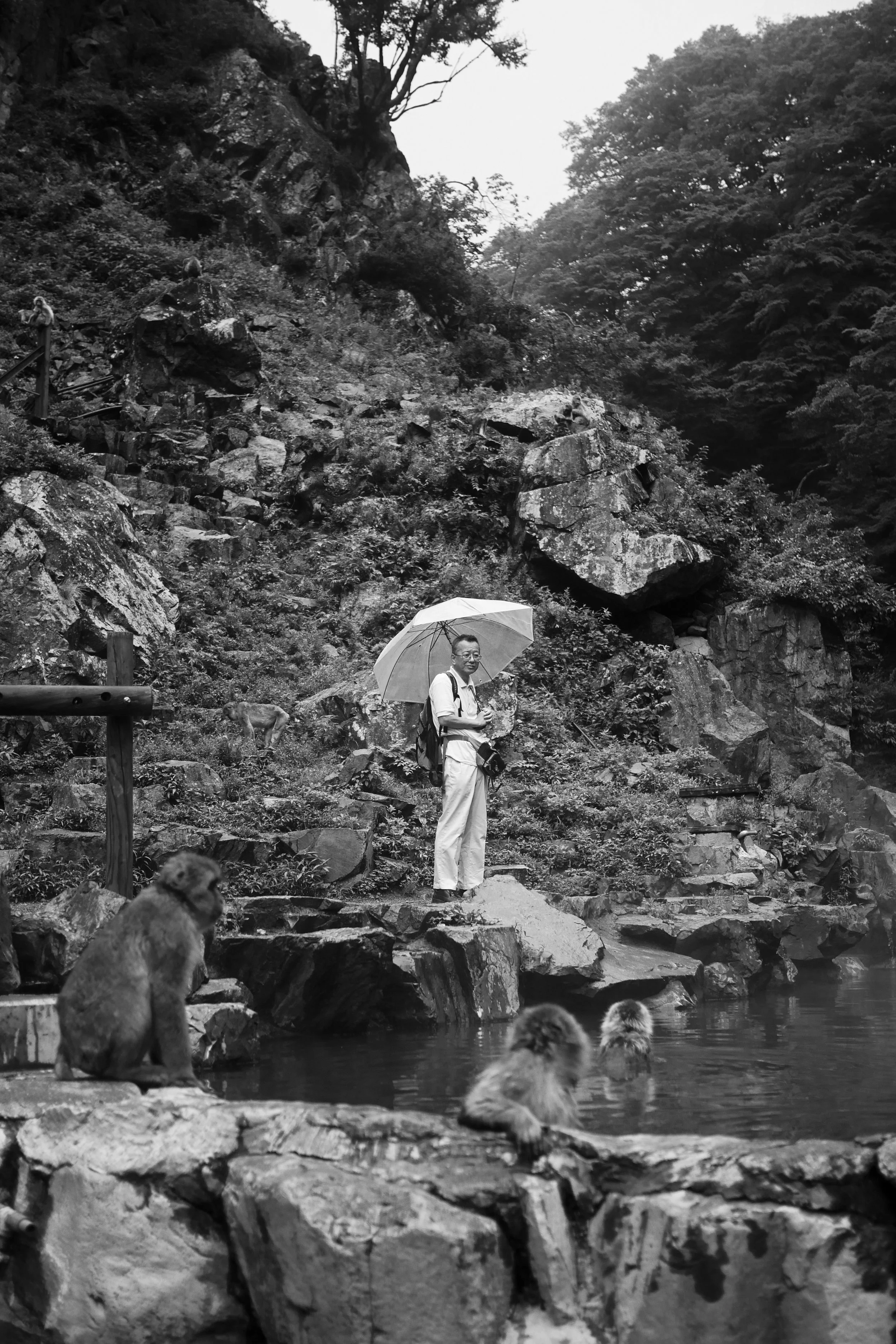 photo (12 of 26).jpg