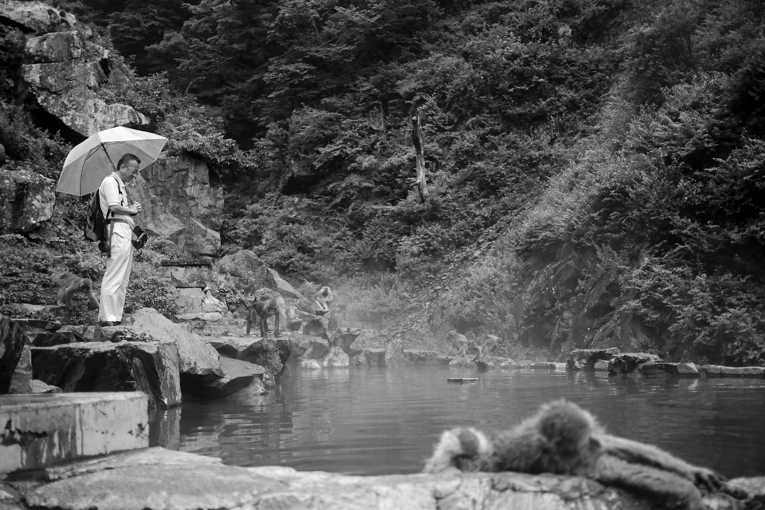 photo (10 of 26).jpg