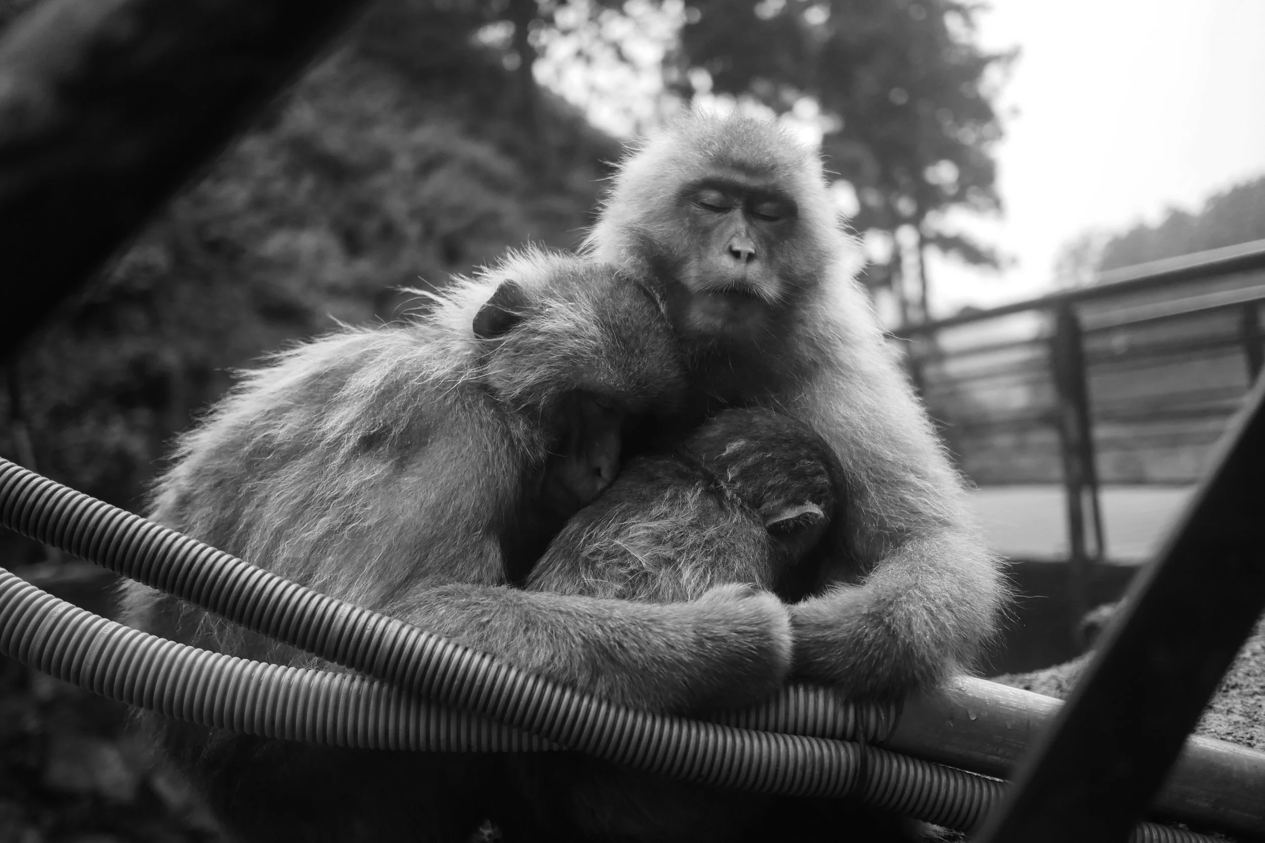 photo (23 of 26).jpg