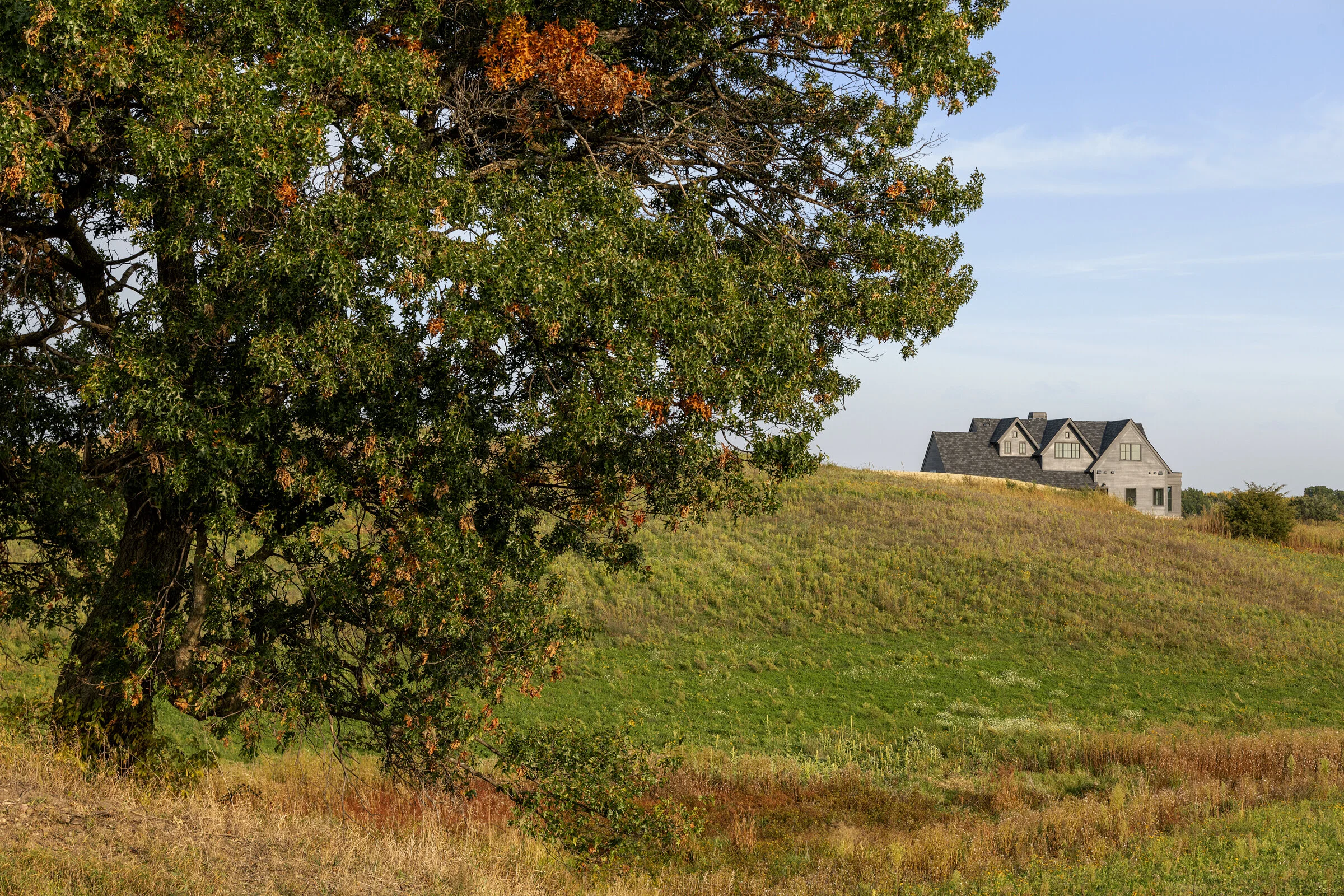 WOS_Eye-Land0044.jpg