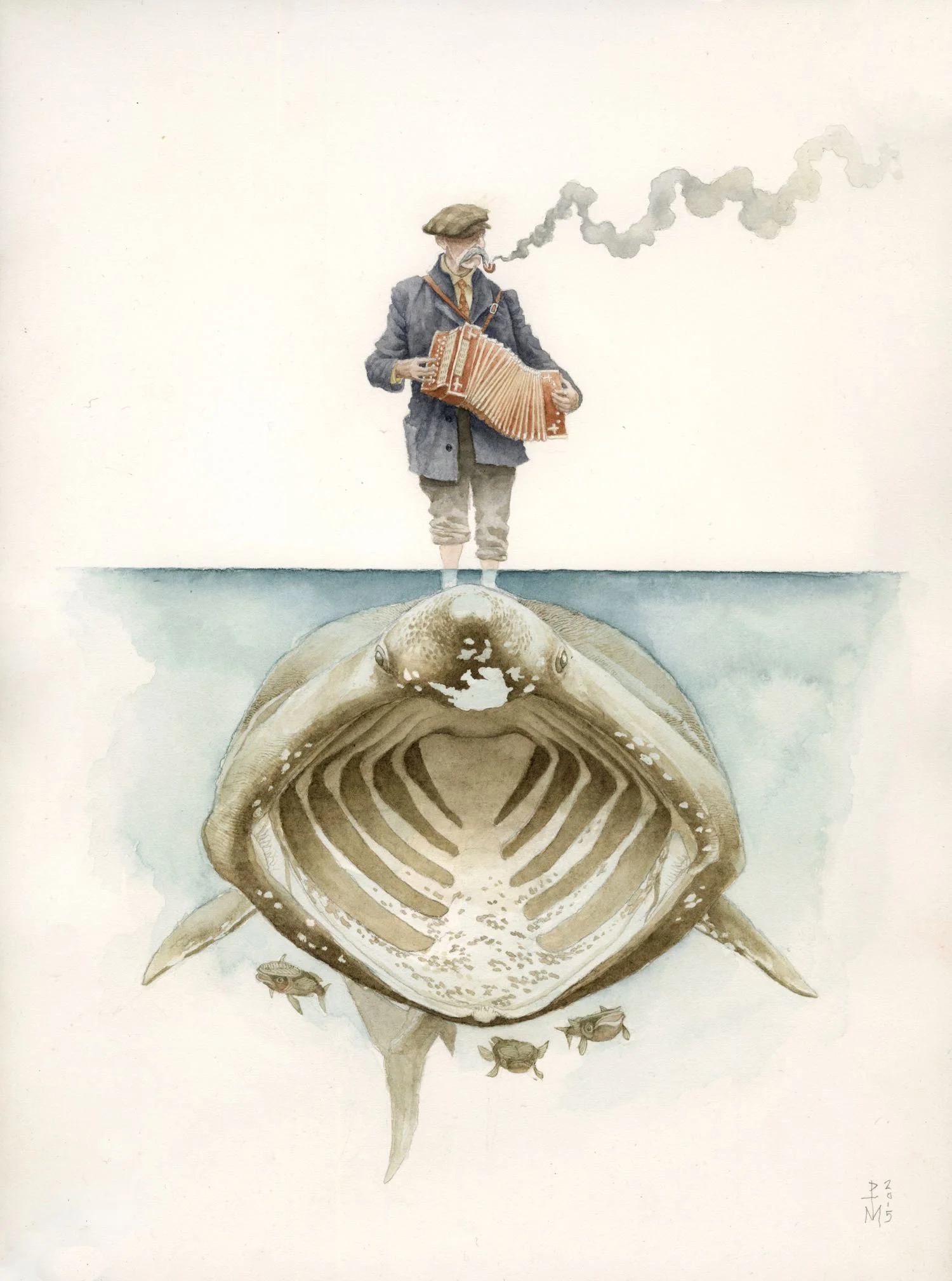 Organ Morgan