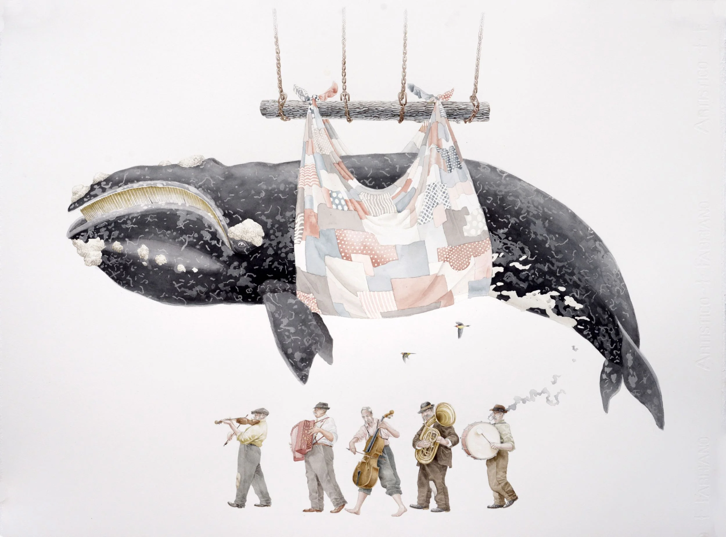Whale Variations