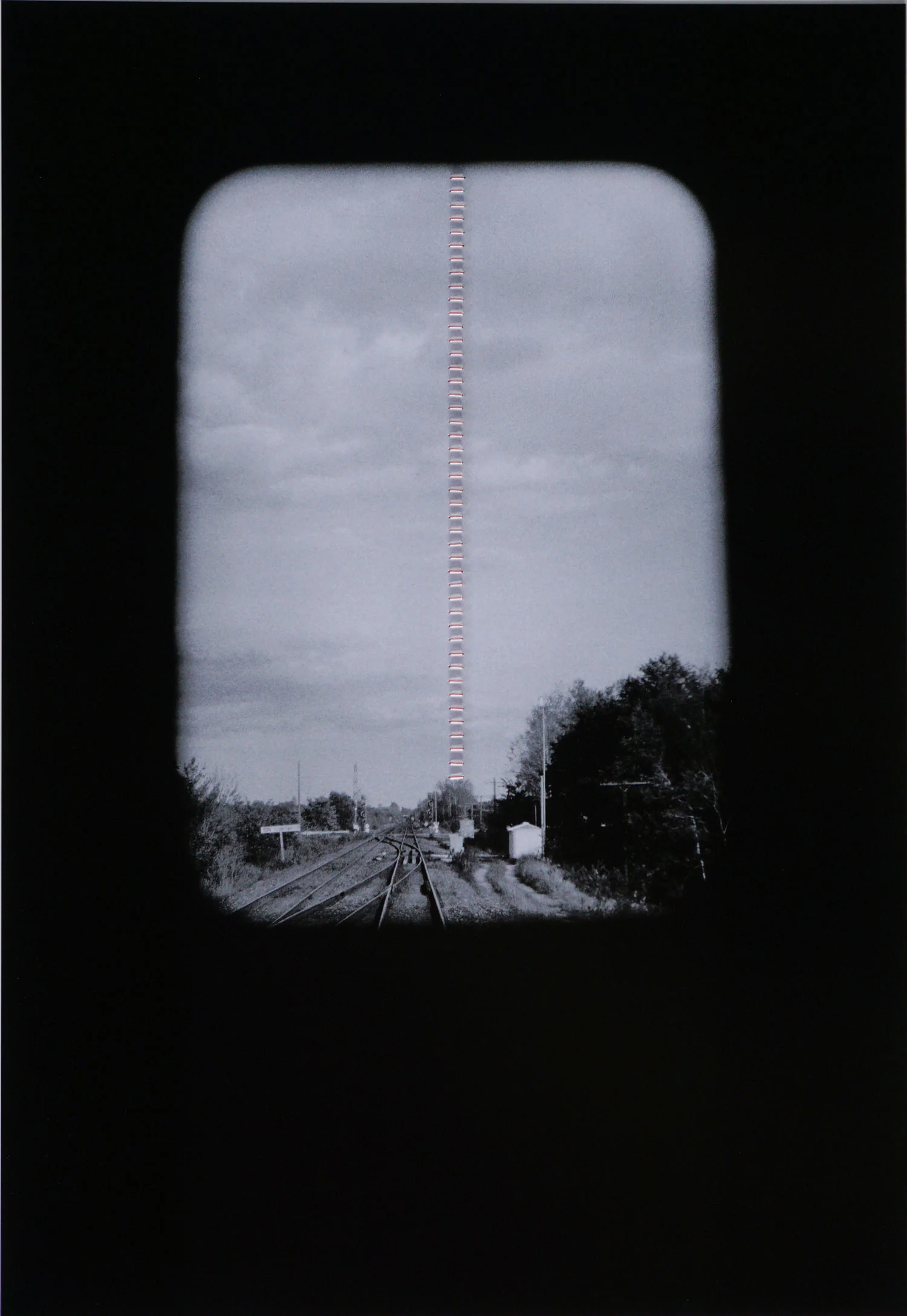 Untitled (Bloodless)