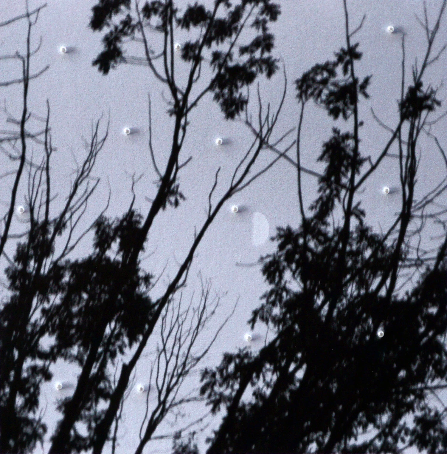Pearl Trees (smaller print)
