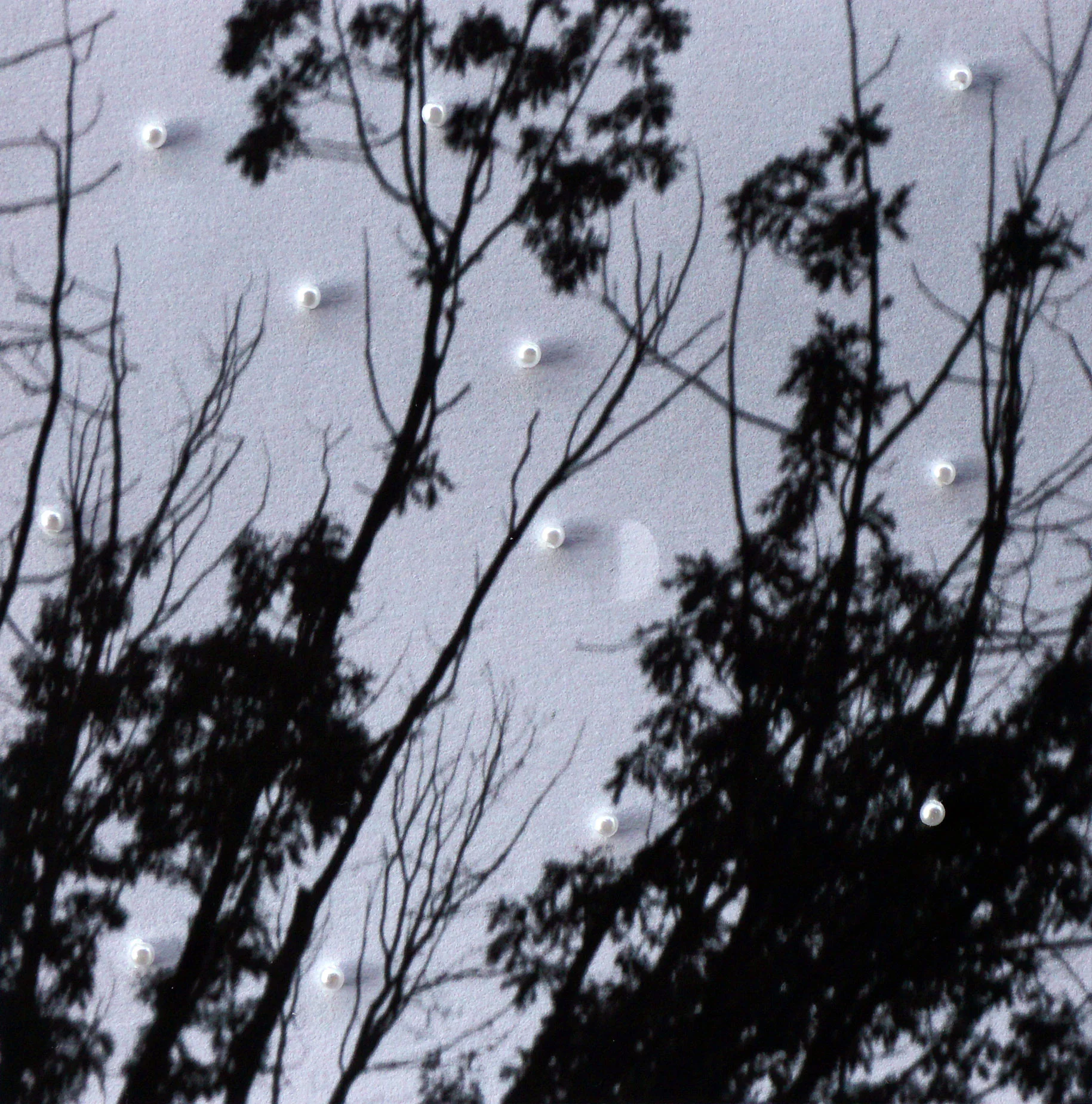 Pearl Trees
