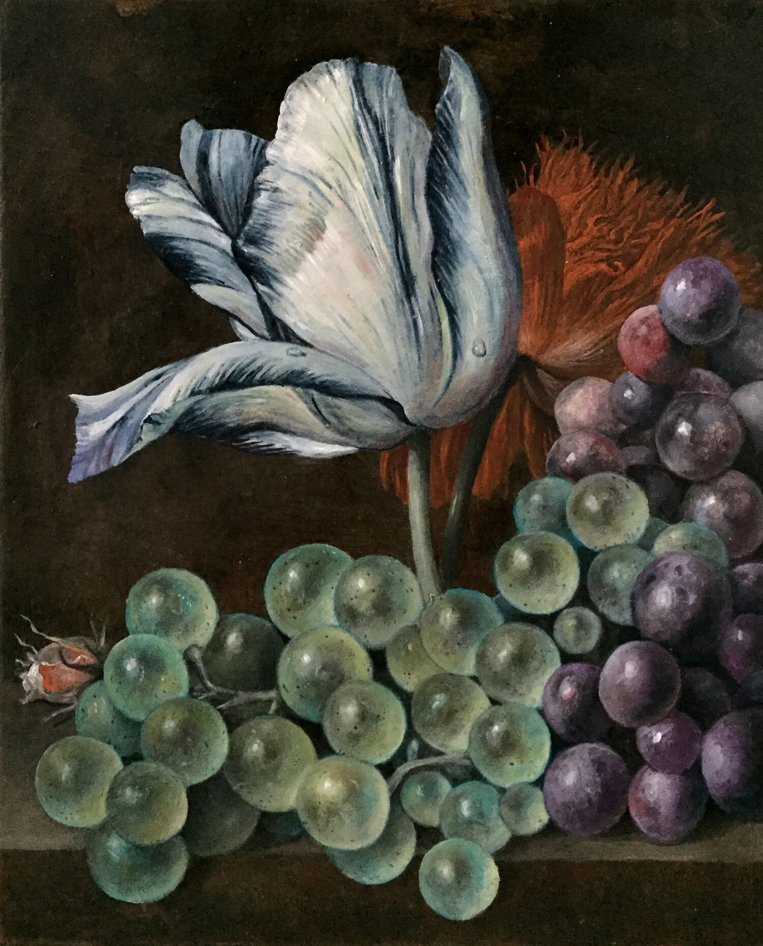 Grapes and Tulip