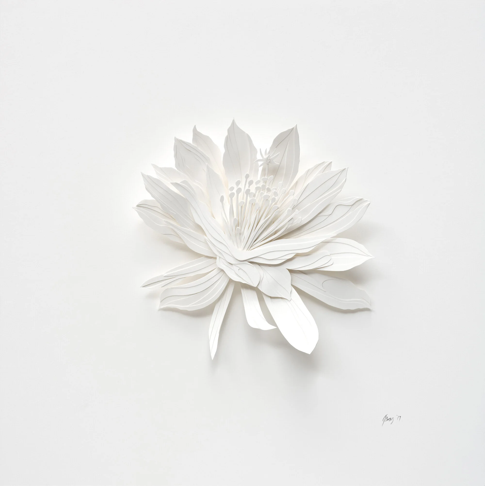 Aggravated Flower 2