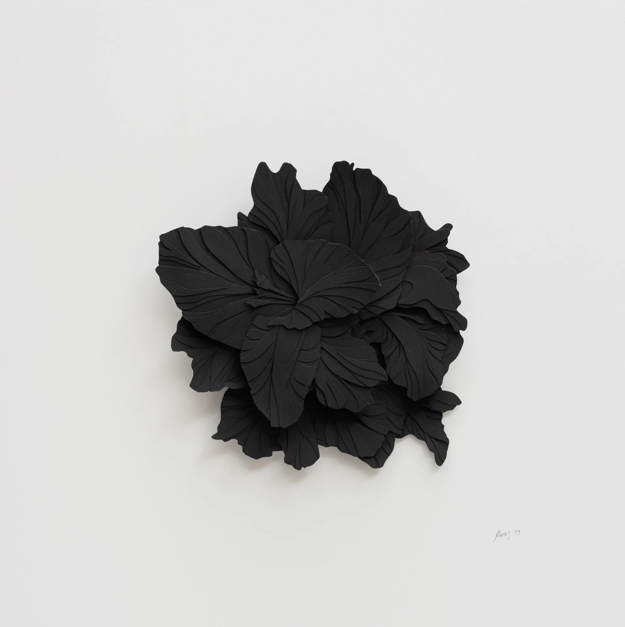 Aggravated Flower 3