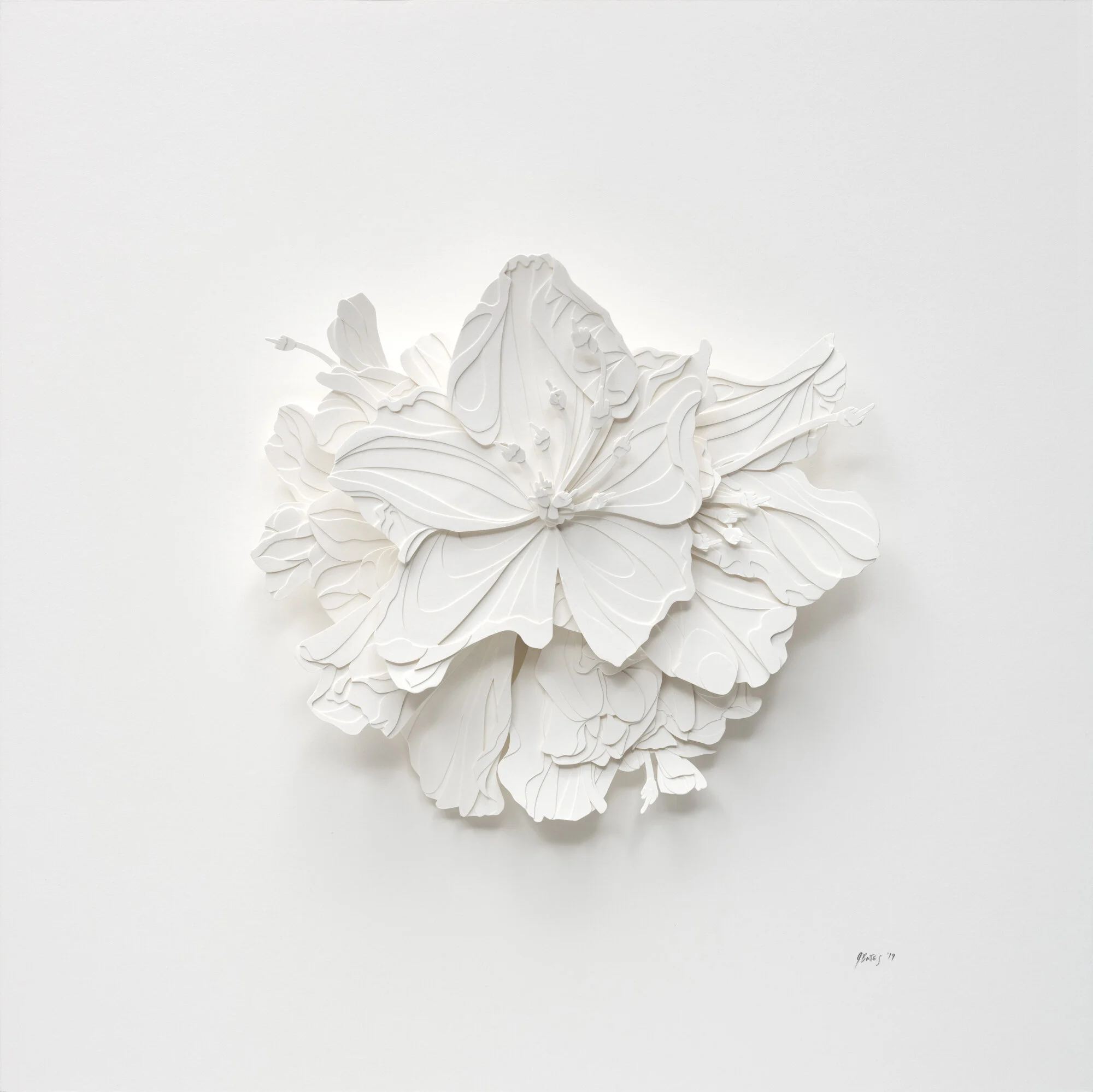 Aggravated Flower 1