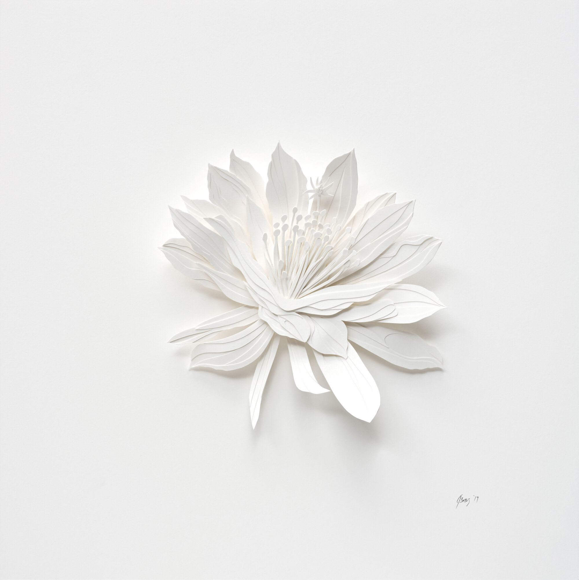 Aggravated Flower 2