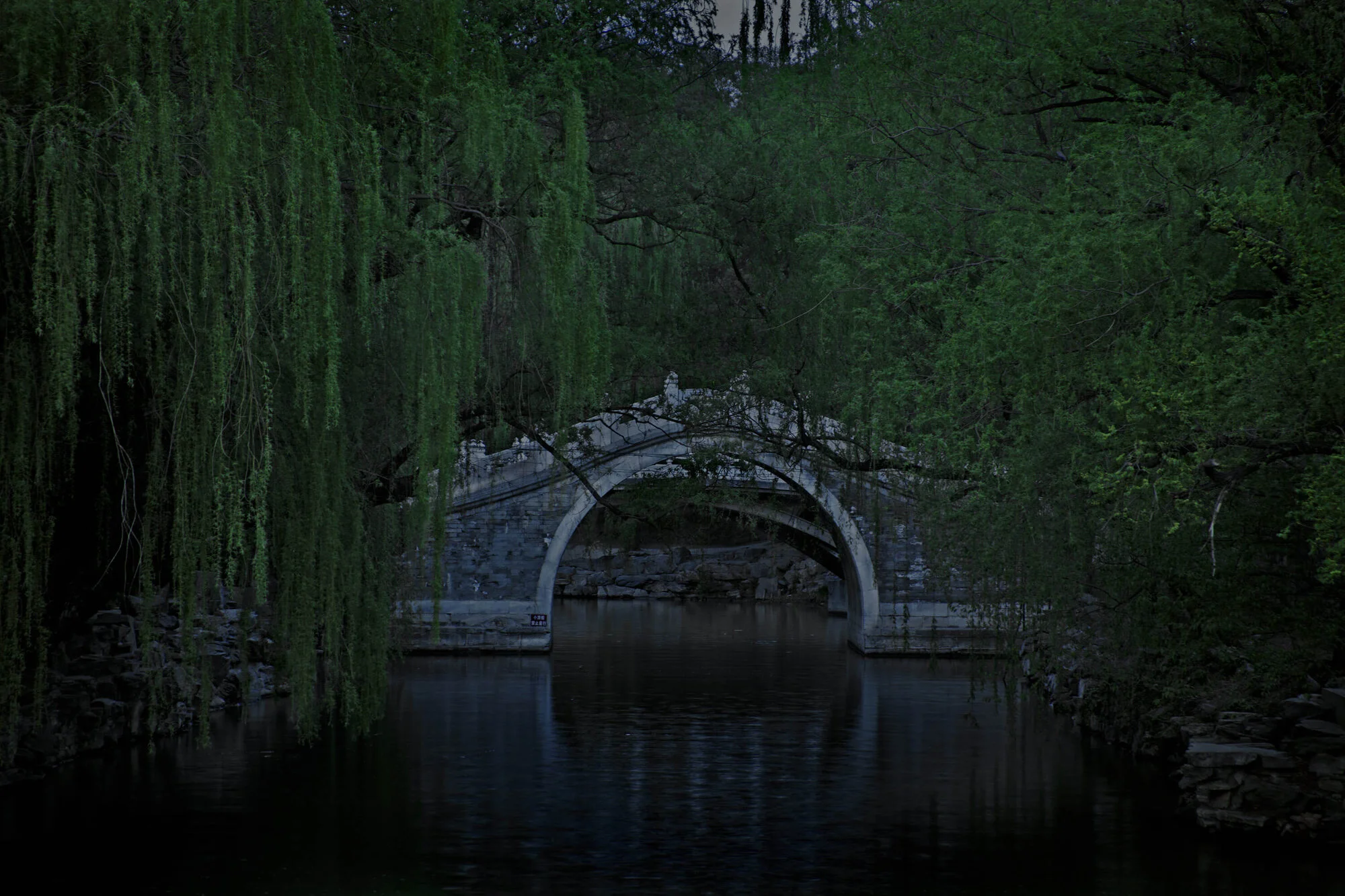Optimized_Shen-Wei-(Between-Blossoms-Series)-Blue-Bridge-2014.jpg