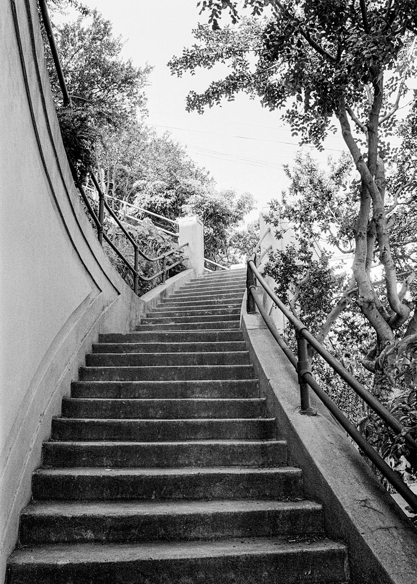 Noe Valley, Study 1