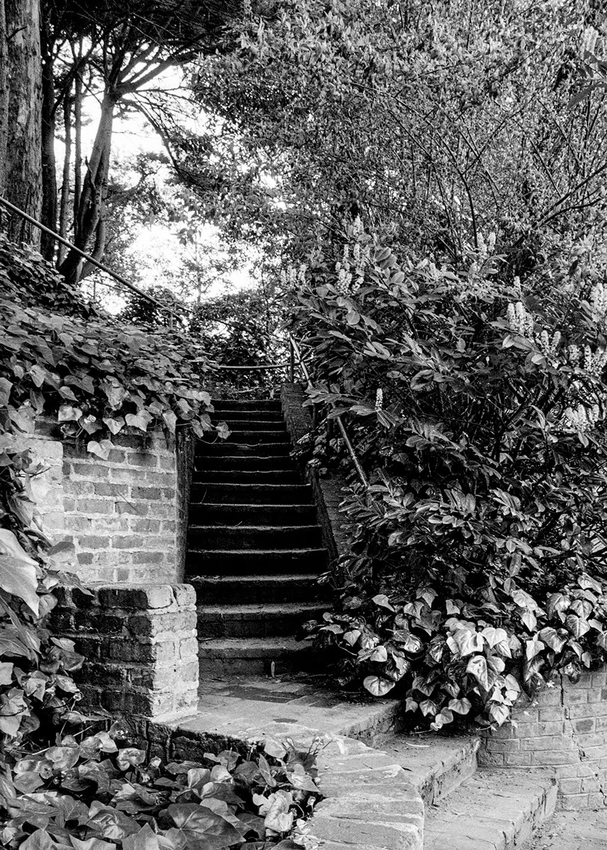 Telegraph Hill, Study 1