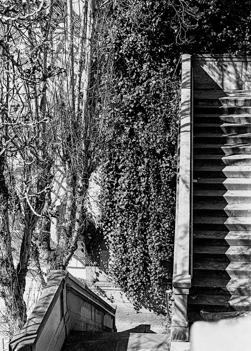 Telegraph Hill. Study 2