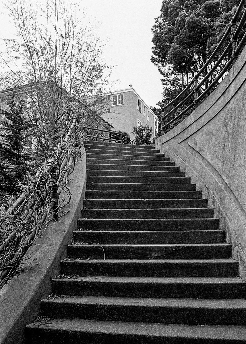 Dolores Heights, Study 1