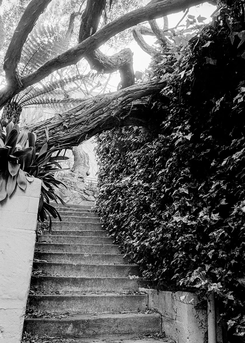 Russian Hill, Study 1