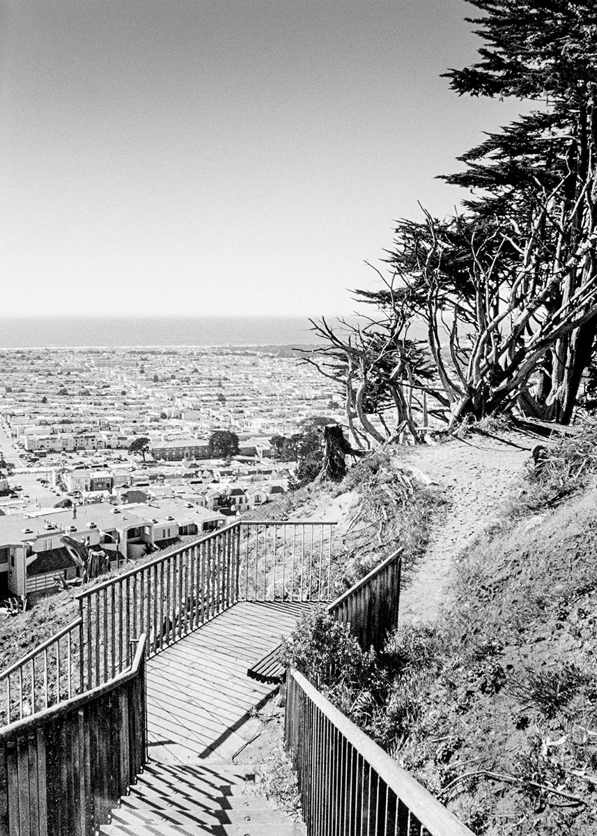 Golden Gate Heights, Study 4